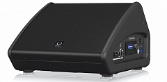 TURBOSOUND TFM122M-AN
