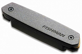 FISHMAN PRO-NEO-D01