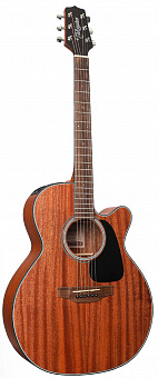 TAKAMINE GN11MCE NS