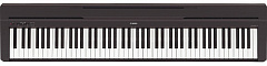 YAMAHA P-45B