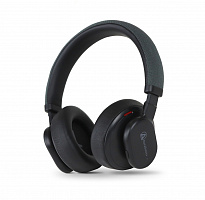 AURASONICS FINE F300BT