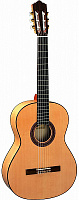 PEREZ 630 Spruce